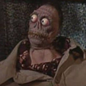 Meet your Posher, Patrick